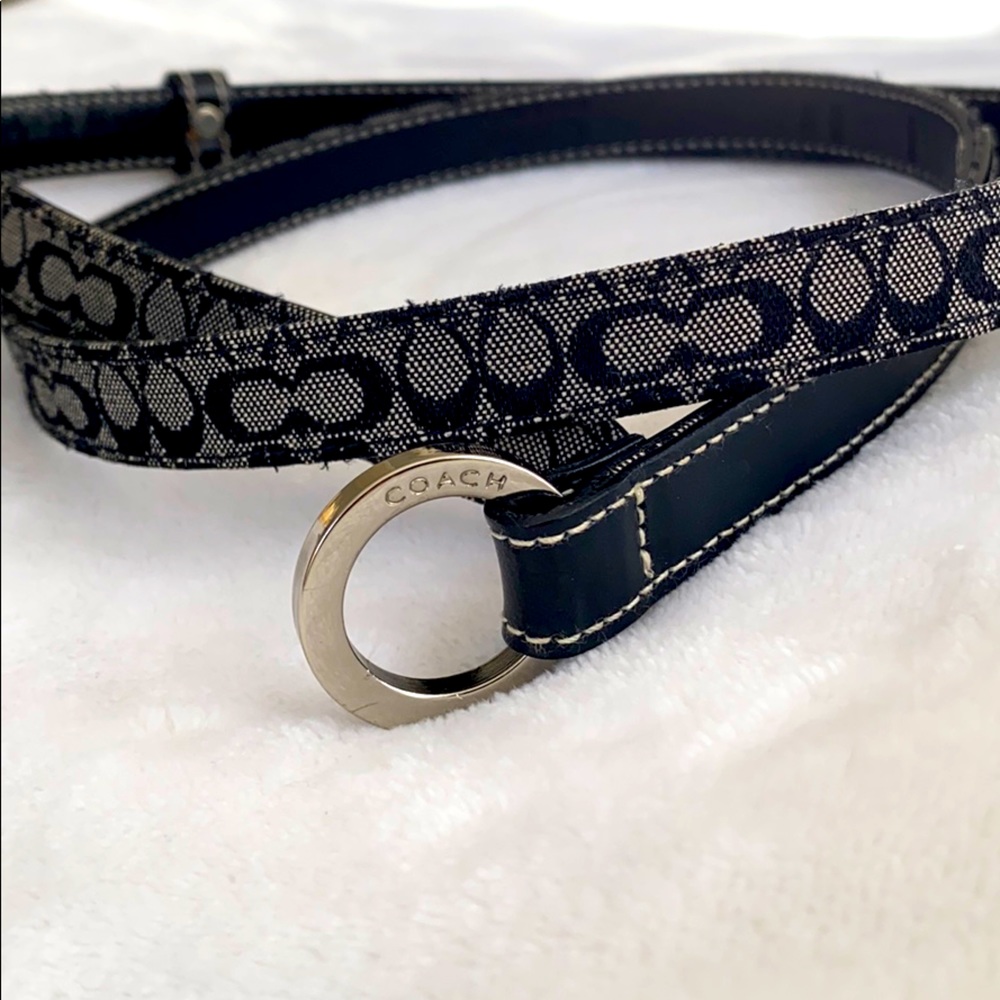 Coach belt
